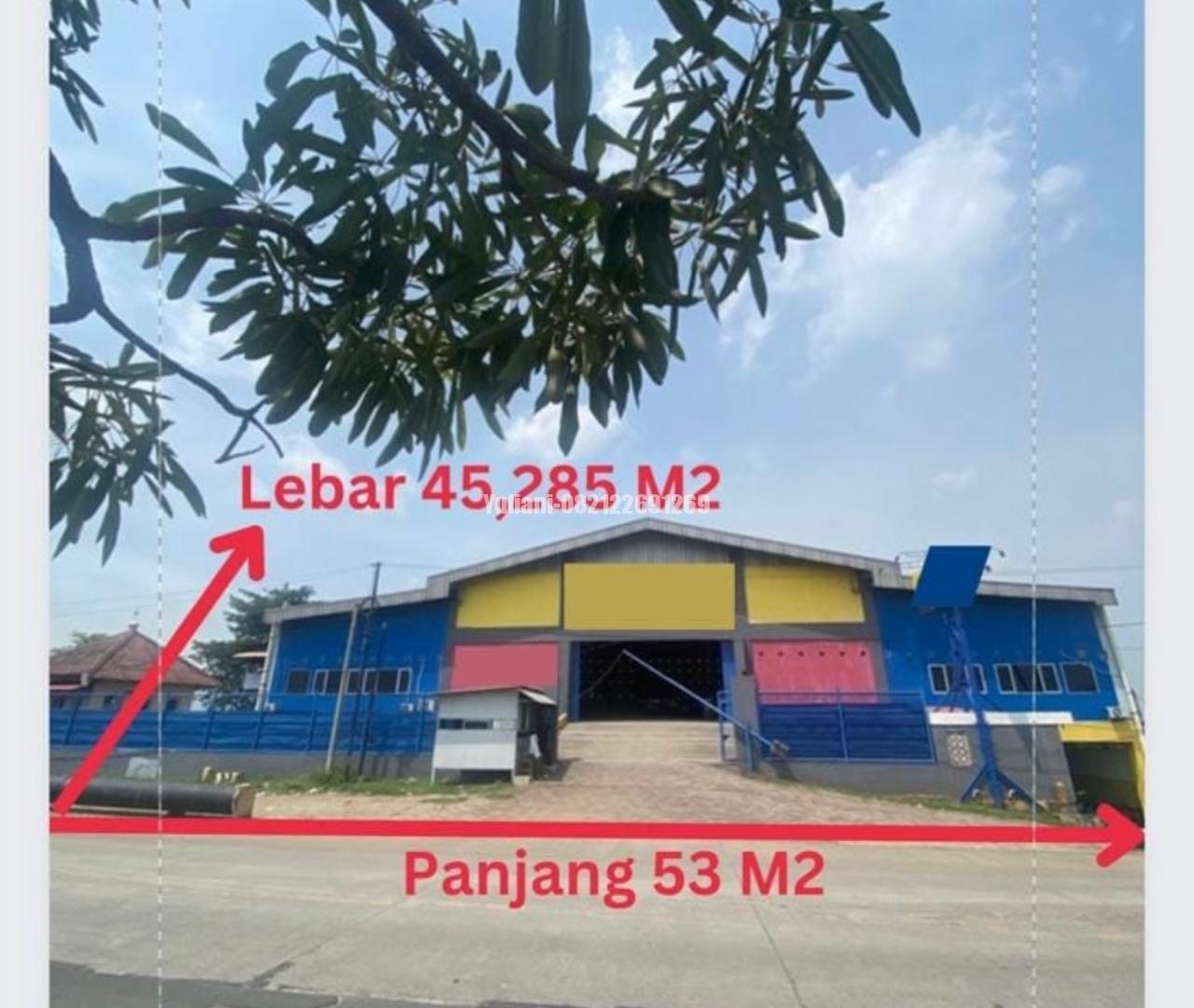 WhatsApp Image 2026-03-06 at 8.03.59 AM (2)